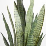 40" Lifelike Artificial Snake Plant in Modern Grey Planter - Low-Maintenance Elegance for Home Decor - Image 4
