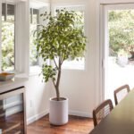 Artificial Ficus Tree with Artisan Planter - Image 2