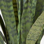 40" Lifelike Artificial Snake Plant in Modern Grey Planter - Low-Maintenance Elegance for Home Decor - Image 6
