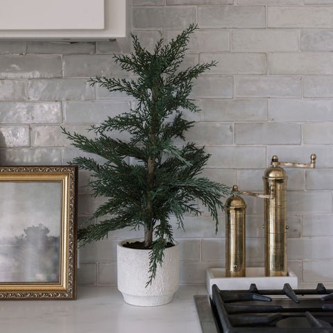 tree in kitchen