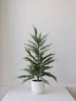 Set of 2 – 24" Lifelike Artificial Cedar Trees in Elegant Cream Pots for Home and Office Decor