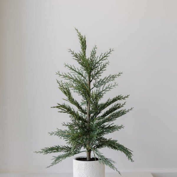 Set of 2 – 24" Lifelike Artificial Cedar Trees in Elegant Cream Pots for Home and Office Decor