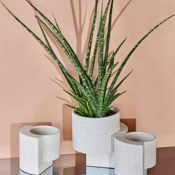 Platform Planters Minimalist Trio