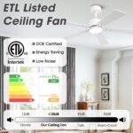 Vaczon 52" DC Motor Ceiling Fan with LED Lighting and Remote Control - Image 9