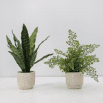 Elegant 16" Faux Snake Plant And Fern Set In Cream Pot - Lifelike Decor For Home Or Office
