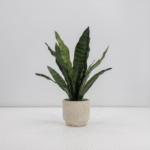 16" Faux Snake Plant & Fern Set - Image 3