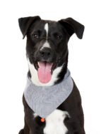 CLASSIC BANDANA - Image 12