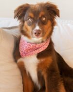 FLORAL BANDANA - Image 7