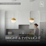 Castanea Pendant Light - Image 11