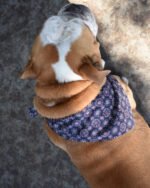 CLASSIC BANDANA - Image 4