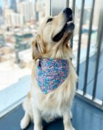 PARTY BANDANA - Image 7