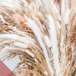 Cortaderia Pampas Grass Bouquet - Image 3