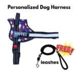 Pawsonalized Harness ( Free Leashes ) - Image 2