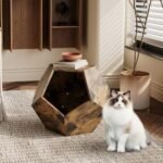 25.98'' Modern Pet Furniture Cat Carrier, Sofa Side Table, Planter MDF Multifunctional Furniture, Burmese Sumac - Image 20