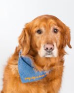 EMBROIDERED BANDANA - Image 6