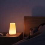 Halina Table Lamp - Image 3
