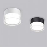 Ian Downlight - Image 3