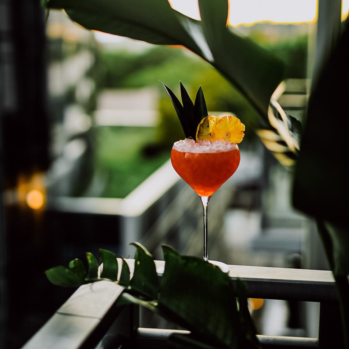 Fantasy Set of 2 Cocktail Glasses - Image 3