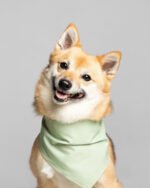 PARTY BANDANA - Image 2