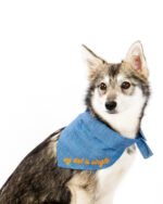 EMBROIDERED BANDANA - Image 4