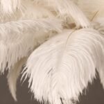 Plume Chandelier - Image 10