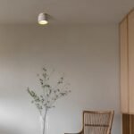 Sasil Downlight - Image 4