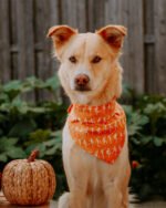 SKELETON BANDANA - Image 2