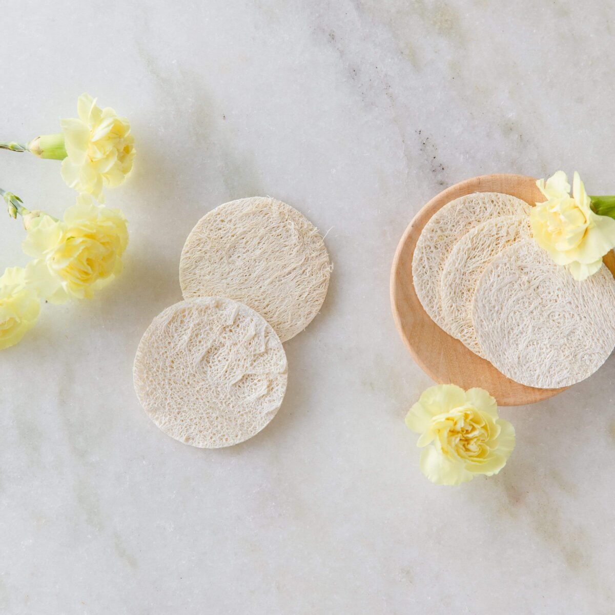 Loofah Facial Disc Pack- Exfoliating Loofah Sponge, Round Loofah Disc - Image 1