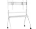 Goldoma Mobile Floor TV Stand for 55-65 Inch Interactive Whiteboard