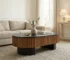 Goldoma 43.7" Elliptical Modern Coffee Table with Hidden Storage & Removable Tabletop