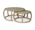Goldoma Brown Glass and Solid Wood Round Nested Coffee Table Set - Vintage Design Tea Tables for Living Room