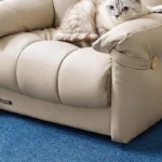 Goldoma compact modern tufted sofa in a living room – minimalist Chesterfield style with tufted back