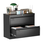 2-Drawer Metal Lateral File Cabinet Black FCJ Steel Storage Cabinet for Home Office Hanging Legal Letter A4 Size Assembly