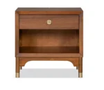 Modern nightstand with USB port and gold capped legs in walnut finish