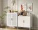 2-Door White FCJ Metal Storage Cabinet with 2 Adjustable Shelves Steel Garage File Cabinet for Home Office & School Gym