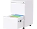 Pre-Assembled 5-Caster White FCJ Mobile 2-Drawer File Cabinet Metal Rolling Hanging Folders for Legal Letter Size for Home