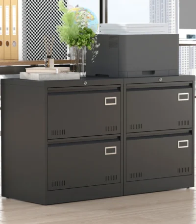 2 Drawer Metal Lateral File Cabinet with Lock,Office Vertical Files Cabinet for Home Office/Legal/Letter/A4