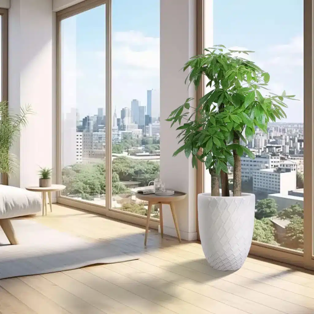 Large white ceramic planter with a tall indoor tree in a bright living room