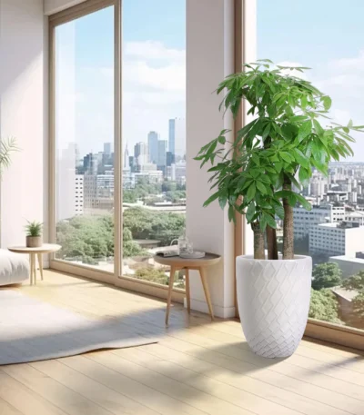 Large white ceramic planter with a tall indoor tree in a bright living room