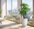 Large white ceramic planter with a tall indoor tree in a bright living room