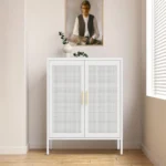 NO LOCK 2-Door Metal Storage Cabinet with 2 Adjustable Shelves Steel File Cabinet for Home Office & School Gym in
