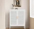 NO LOCK 2-Door Metal Storage Cabinet with 2 Adjustable Shelves Steel File Cabinet for Home Office & School Gym in