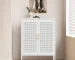 NO LOCK 2-Door Metal Storage Cabinet with 2 Adjustable Shelves Steel File Cabinet for Home Office & School Gym in