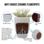 Close-up of the white ceramic planter showing its smooth glazed surface and drainage hole.