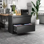 2-Drawer Metal Lateral File Cabinet Black FCJ Steel Storage Cabinet for Home Office Hanging Legal Letter A4 Size Assembly
