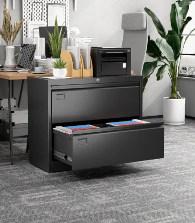 2-Drawer Metal Lateral File Cabinet Black FCJ Steel Storage Cabinet for Home Office Hanging Legal Letter A4 Size Assembly