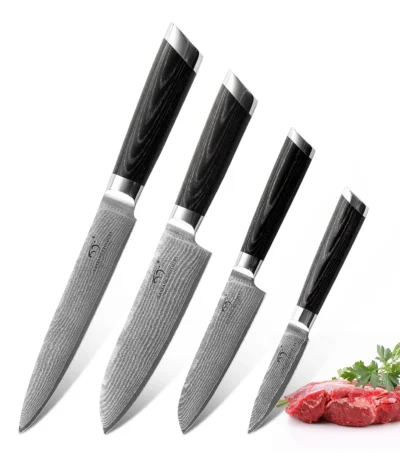 Professional Cook Tools 4 Pieces Damascus Steel VG10 Chef Kitchen Knife Set with Pakka Wood Handle