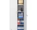High Storage Home Office Design FCJ File Cabinet with 2 Doors and 4 Partitions to Separate 5 Storage Spaces