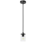 Single pendant light with clear glass shade and matte black iron frame, hanging over a dining table.