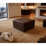 Goldoma modern black square storage ottoman with button tufting and wooden legs in a living room setting